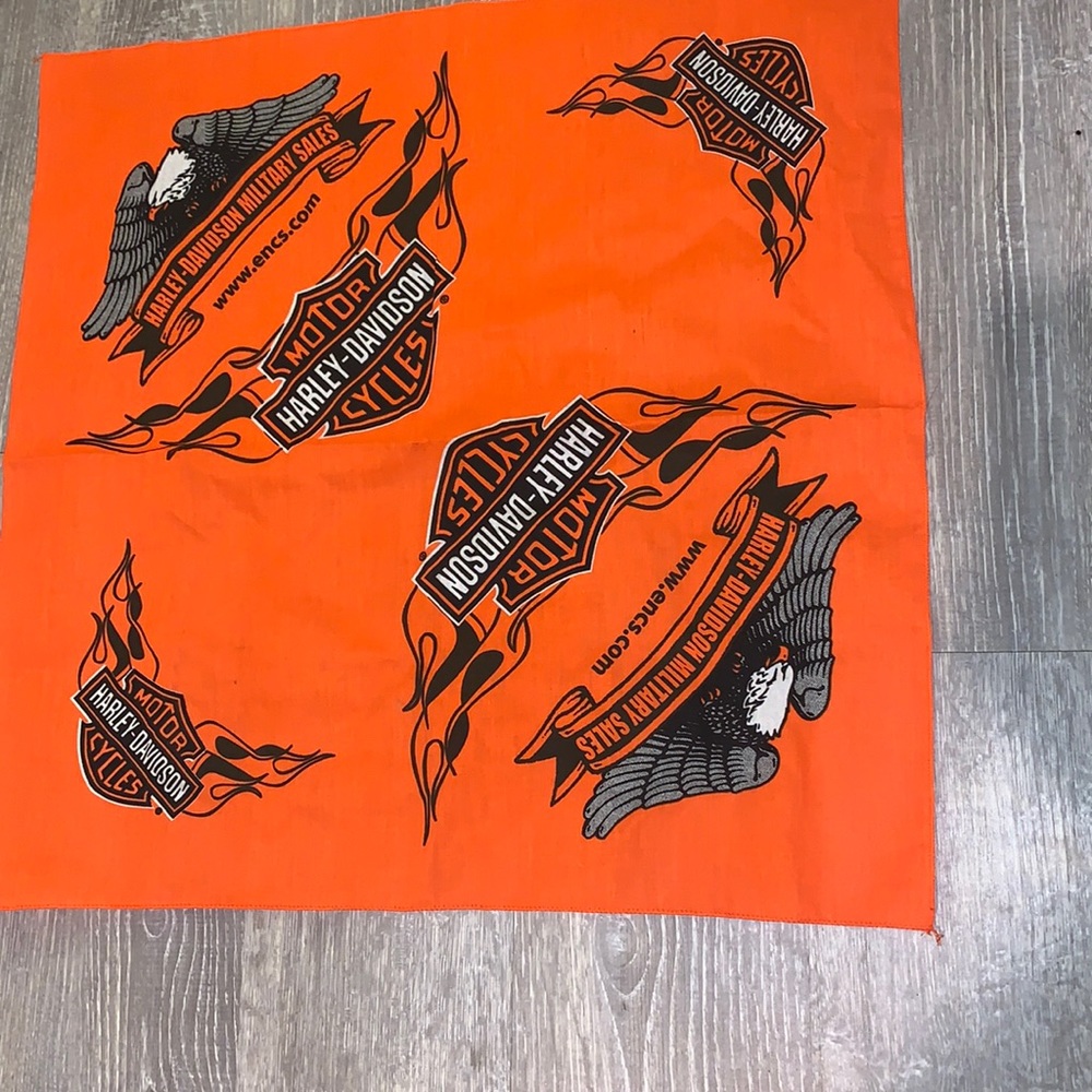 AWESOME Harley Davidson NEW Bandanna/Wallhanging (?)!!